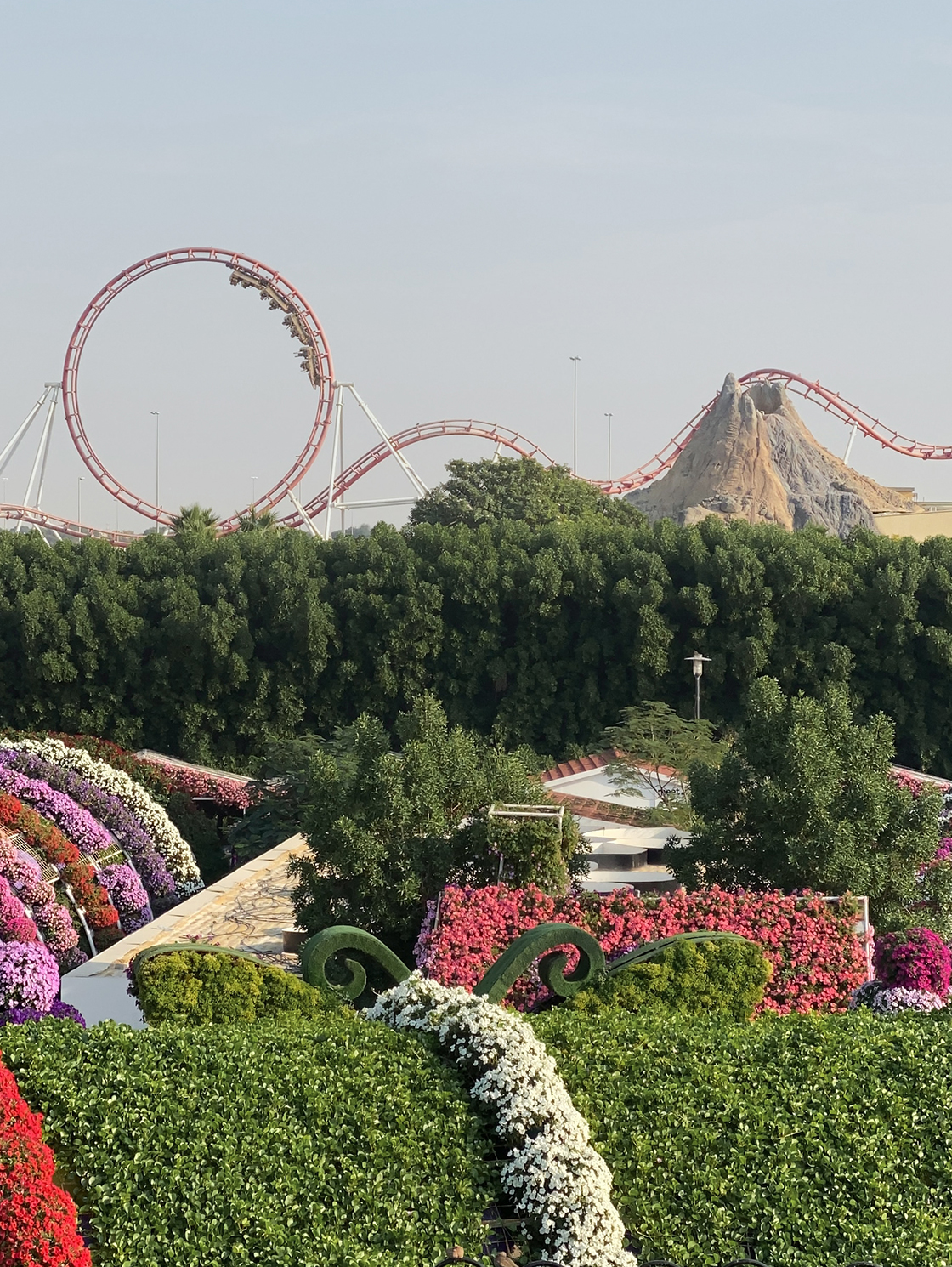 EH DUBAIMosaic_1120x1490_Dubai Miracle Garden_unsplash-paul-minami.jpg