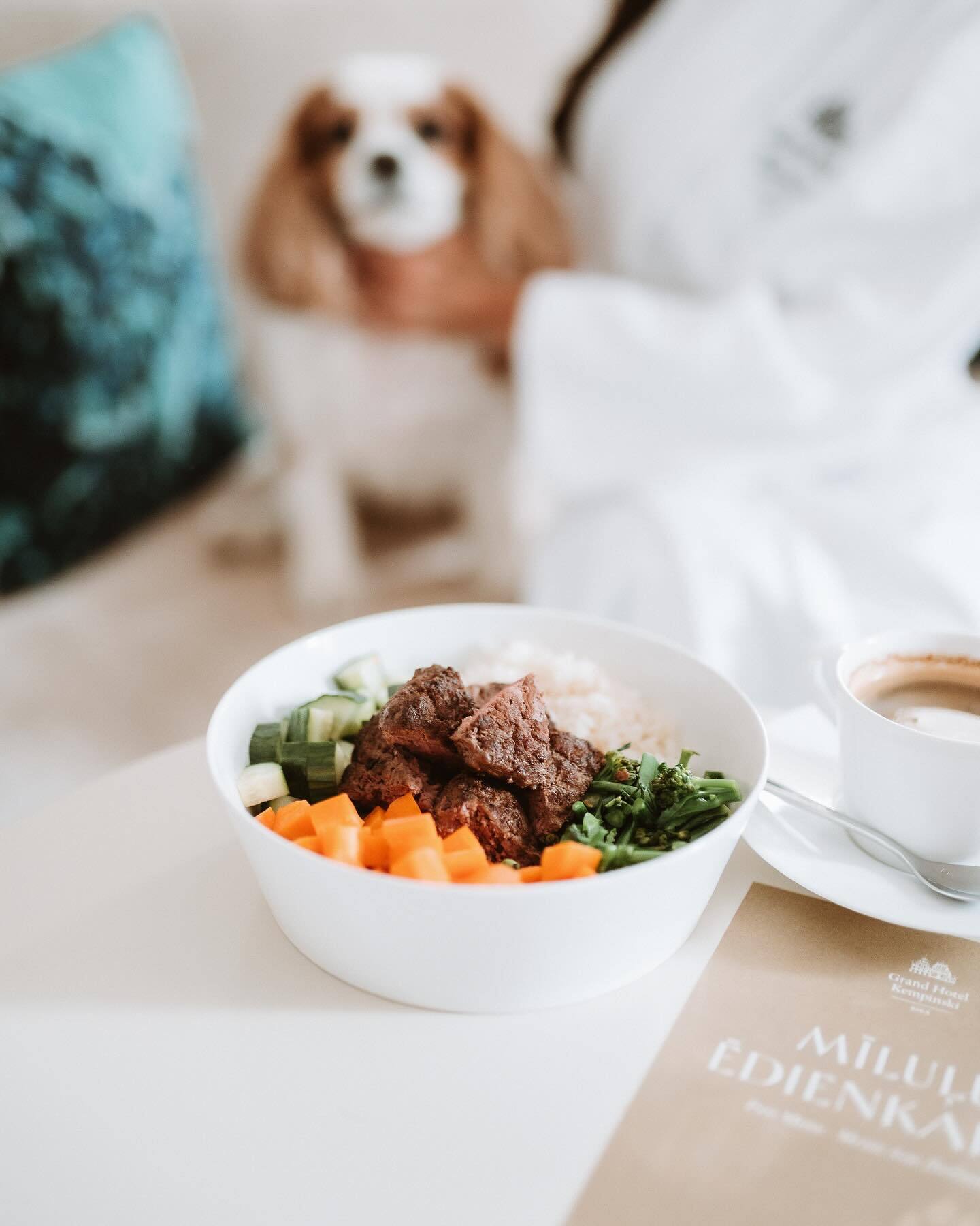 Dog food bowls at Kempinski Riga