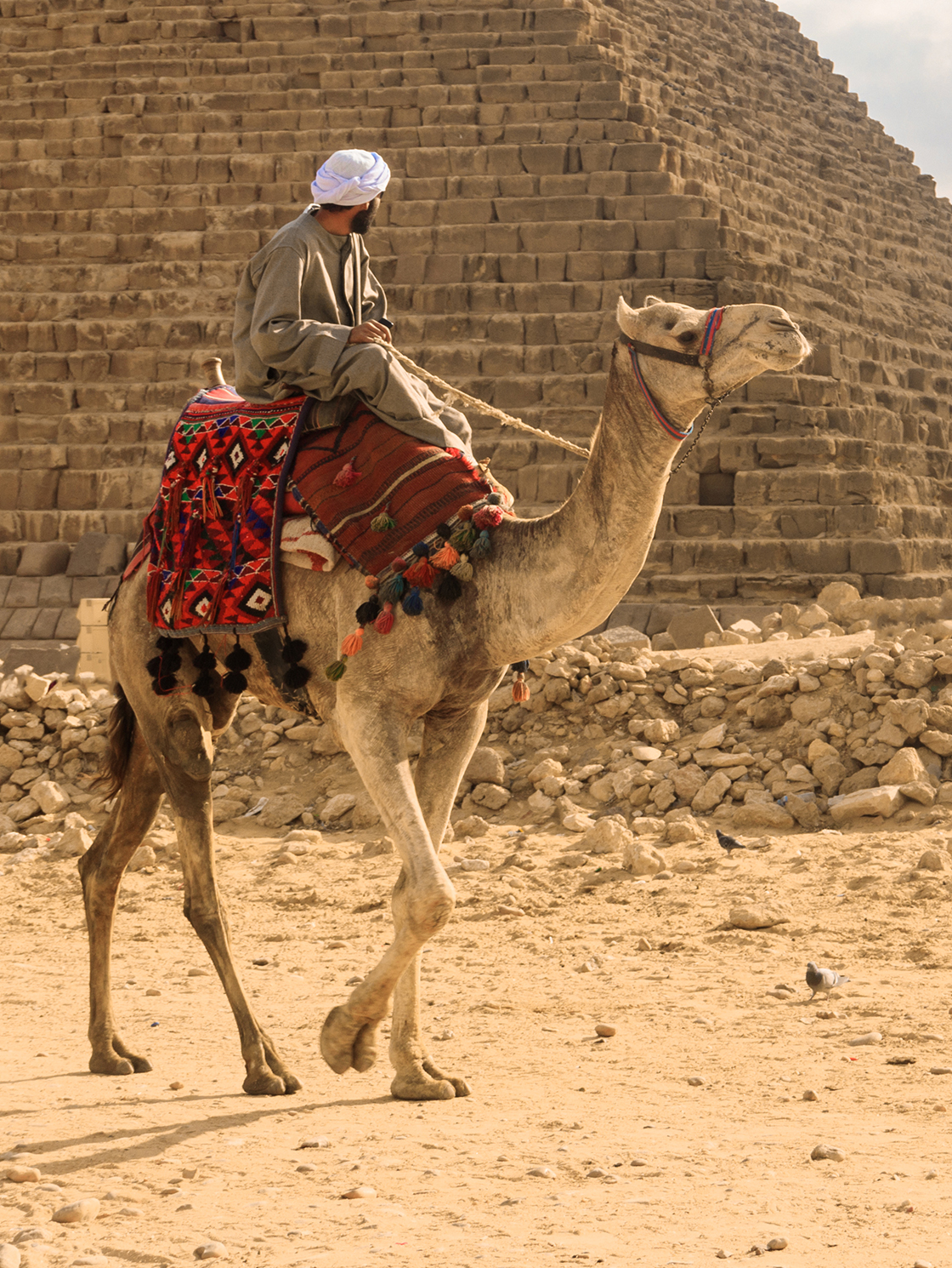 EH EgyptGallery_02_Giza_AdobeStock.jpg